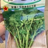 大失敗の野菜作り😢