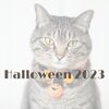 Halloween 2023