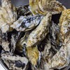 牡蠣の佃煮