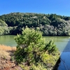 宮里ダム（鹿児島県薩摩川内）