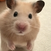 リリカ　その後