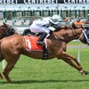 私が考えていた競馬必勝法