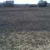 草焼きの跡