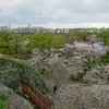 福岡城