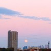 ４４２年ぶりの天体ショー