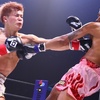 【NEWS】那須川天心まさかのMMA3戦目決定！【RIZIN】