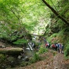 爽やかな風・川苔山