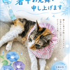 暑中お見舞い申し上げます