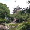水浴び大好き・公園の小鳥達