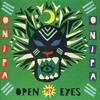 【今日の一曲】Onipa - Open My Eyes