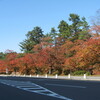  紅葉まつり＠弘前公園