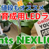 【速報】コスパ最強！観葉植物向け育成用LEDライト「Plants NEXLIGHT」を購入しました！