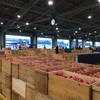 弘前りんご市場は賑わっていました！