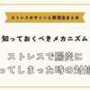 ストレスで腸炎になってしまった時の対処法【ストレスのサインと解消法まとめ】