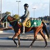 同日出走、目指せ初の1日2勝！