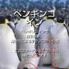  【銘柄】ペンギンは空を飛べるのか？【PENG】