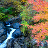 大柳川渓谷の紅葉