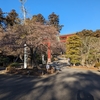 今年最後の鹽竈神社