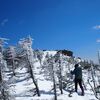 【八ヶ岳】北八ヶ岳で雪山登山（公共交通機関利用、高見石小屋泊）