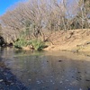 池に氷が