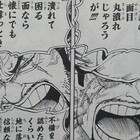 One Piece ブログ 七十九巻 第793話 虎と犬 感想 漫画ワンピース趣味ブログ