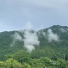 梅雨の晴れ間