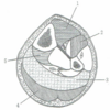 理学療法士　国家試験45p-52