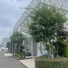 サイコーの植物～新しい仲間が増えました～