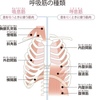 マツと一緒に勉強しようよ👍 〜ロードバイク 上半身について〜