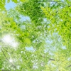 雑談：気温が30度近くまで上昇