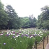 行田公園へ花しょうぶめぐり
