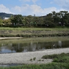 秋の鴨川寸景