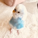 みさちゅーログ〜公務員をやめて自分で稼げるようになるブログ〜