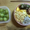 大王弁当、基本型ができつつある