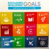SDGsとエナジャイザー - 欲しくて欲しくてたまらないもの