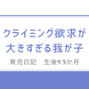 育児日記　生後9.5か月　クライミング欲求が大きすぎる我が子