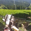 裾刈り作業実施中