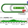 新潟記念予想