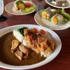 母とカツカレー弁当