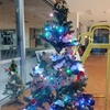 メリークリスマス🎄
