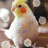 うちのインコ: インコあるあるフォトエッセイ