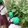 野菜の収穫！？
