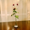花束は買えない。それでも一輪の花を買い続けていたら、花屋のお姉さんに覚えてもらえた