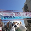 #隅田公園桜祭り