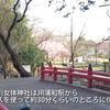 埼玉の一宮神社その3 氷川女体神社に参拝しました。