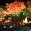 京都嵐山宝厳院の紅葉ライトアップ