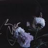 Brett Anderson - Black Rainbows (Includes exclusive signed artwork print)