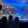 4月15日（土）マリーナホップ水族館