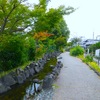  実走！名古屋RUNコース vol.51「庄内用水緑道（西区エリア）」。