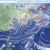 12/23 金曜　曇天強風続く1/2 副反応は雲散霧消